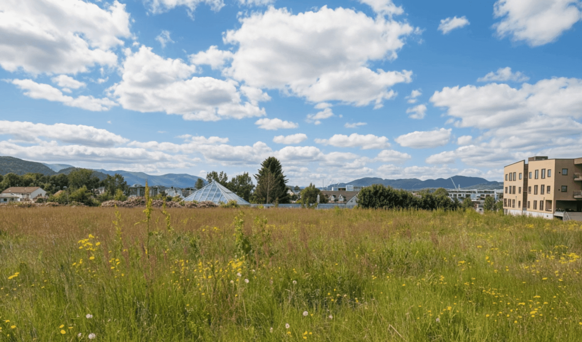 Foto av tomta sett mot Ulsteinvik sentrum